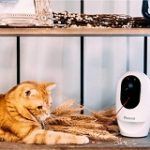 Best 5 Cat Video Camera With Treat Dispenser In 2020 Reviews