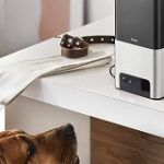Best 5 Live Dog Camera For Watching Your Pet In 2020 Reviews