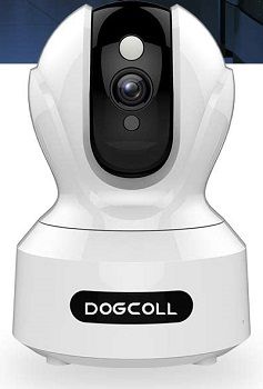 DogCool FHD Pet Camera review