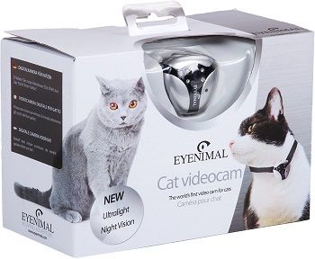 Dogtek Eyenimal Cat Video Camera review