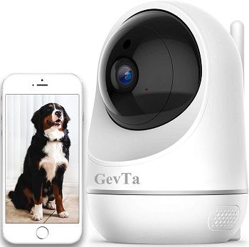 GevTa Pet Camera