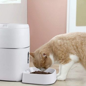 best pet feeder with camera