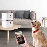 Best 5 Dog Cameras You Can Pick From In 2020 Reviews + Guide