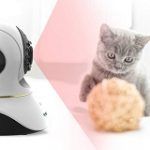 Best 5 Home Camera For Watching Pets At Home In 2020 Reviews