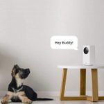 Best 5 Live Puppy Camera & Webcam For Sale In 2020 Reviews