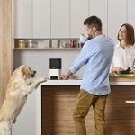 Best 5 Pet Cameras And Treat Dispensers To Pick From In 2020