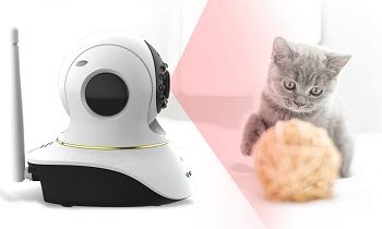 Vstarcam Pet Camera with Interactive Laser review