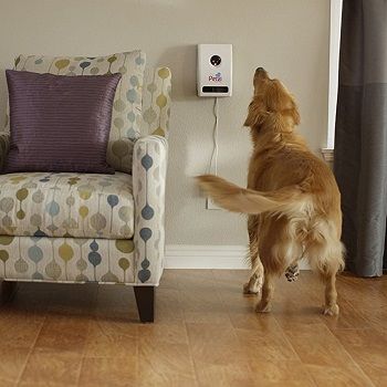 automatic-dog-feeder-with-camera