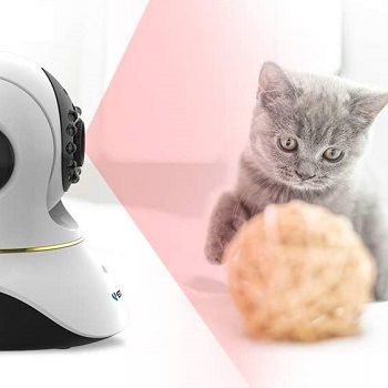 home-camera-for-pets